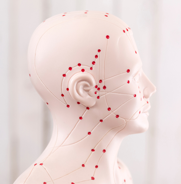 Akupunktur Puppe vor Holzwand